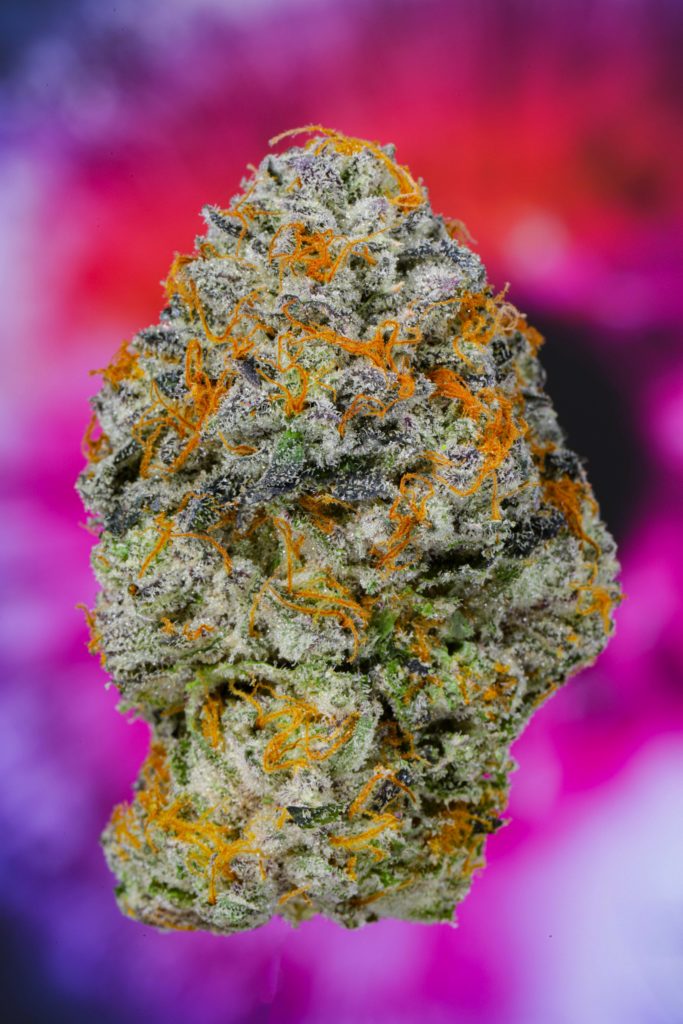 Buy Alien Labs OZ Kush - Cookies Mission Valley Dispensary