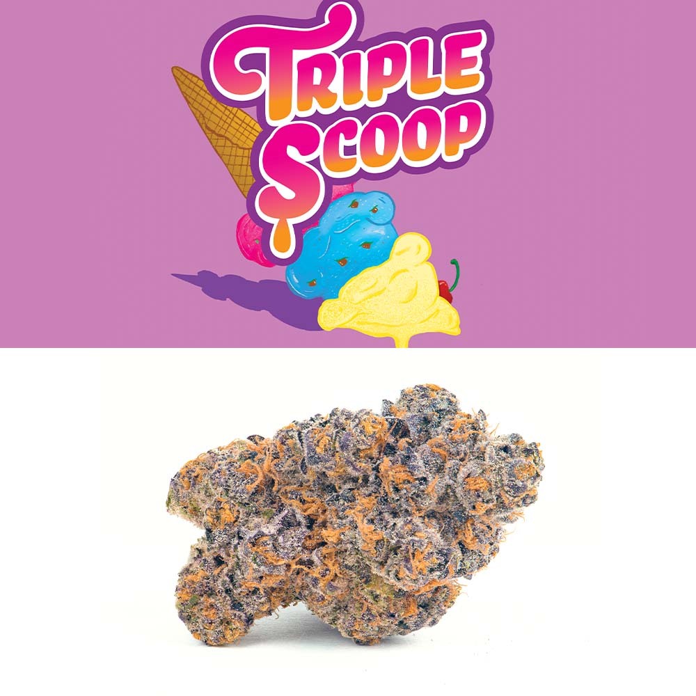 Buy Cookies Triple Scoop Cookies Mission Valley Dispensary